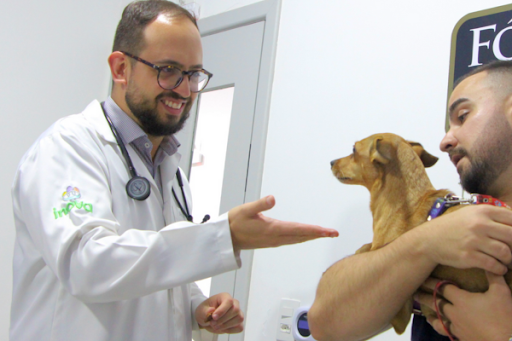 Veterinário do Inova Hospital Veterinário 24h sorrindo enquanto examina um cãozinho caramelo no colo do tutor durante consulta clínica.