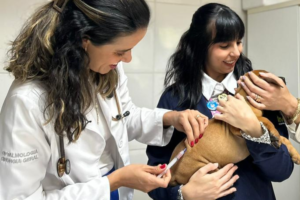 Veterinária aplicando vacina em um cachorro pequeno enquanto a tutora o segura com carinho durante atendimento clínico.