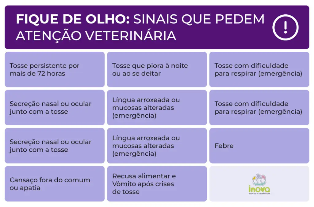 Como o veterinário investiga a causa Card informativo do Inova Hospital Veterinário 24h alerta sobre sinais em cães com tosse que indicam necessidade de atendimento veterinário, como tosse persistente, dificuldade para respirar, febre, secreção nasal, apatia e vômitos.