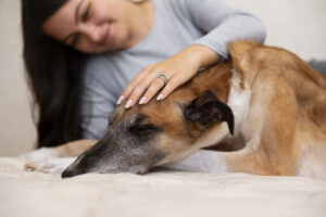 Mulher acaricia cachorro deitado com expressão abatida, sugerindo cuidado diante de possível mal-estar.
