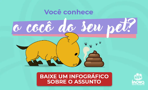 Ilustração de um cachorro amarelo cheirando fezes ao lado da mensagem “Você conhece o cocô do seu pet?”. A arte educativa da Inova Hospital Veterinário 24h incentiva os tutores a observarem as características das fezes dos animais para identificar possíveis sinais de problemas digestivos e alterações na saúde.