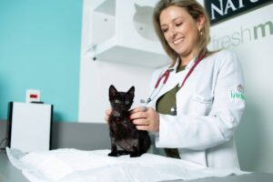 Veterinária sorridente examina um filhote de gato preto sobre uma mesa clínica em consultório veterinário, representando cuidados preventivos e acompanhamento da saúde de cães e gatos.