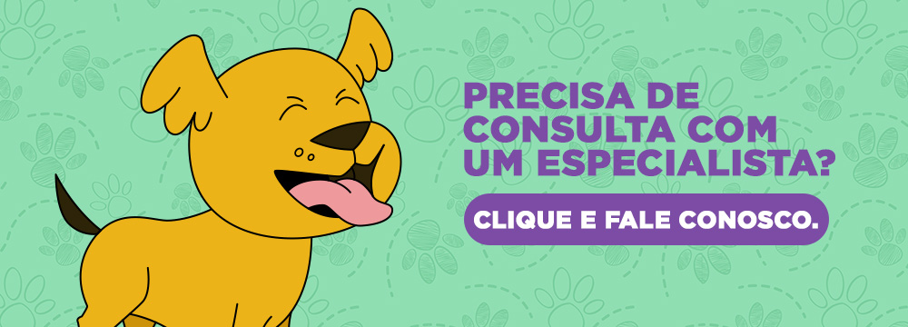 Banner ilustrado com cachorro amarelo sorridente, chamada “Precisa de consulta com um especialista?” e botão roxo “Clique e fale conosco”.